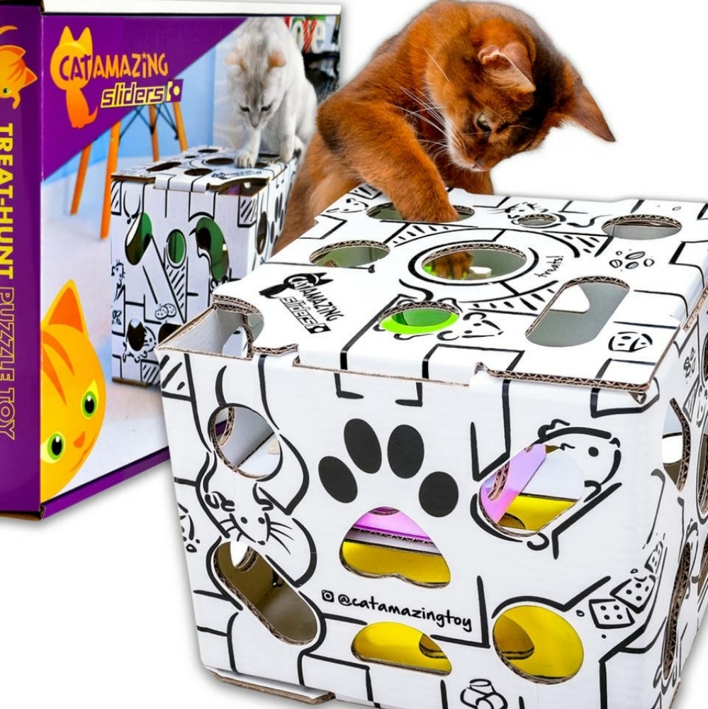 Slides Interactive Cat Toy Puzzle Feeder